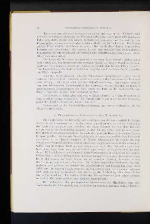 e) Pneumatische Nebenräume des Mittelohres.