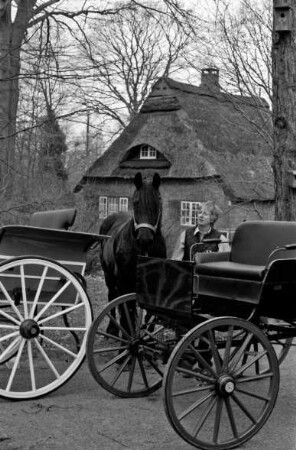 Matthiesen, Anne und Matthiesen, Hans-Gert: Kutschensammler: Dog-Cart und Amerikaner (Baujahr 1921) mit Pferd