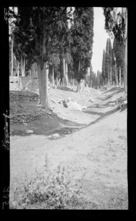Friedhof Skutari (= Üsküdar, Istanbul, Türkei)