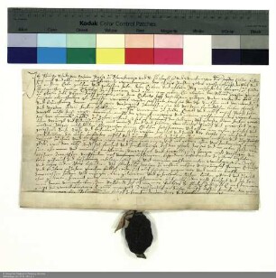 Philipp Schadt von Ostheim, Propst von Blankenau und Michaelsberg sowie Werkmeister des Stifts Fulda verleiht eine Wiese in Gläserzell