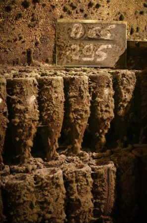 Frankreich. Champagne Ardenne. Marne. Epernay. Champagner Kellerei. De Castellane. Champagner Flaschen im Keller. 30 bis 40 Jahre alte Flaschen in Ruhezeit