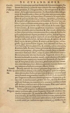 In Michaelis Ioannis Paschalii methodum curandi scholia