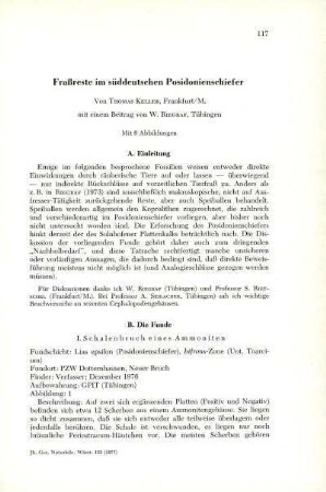Fraßreste im süddeutschen Posidonienschiefer