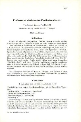Fraßreste im süddeutschen Posidonienschiefer