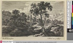 [Seelandschaft mit Ruine im Hintergrund]