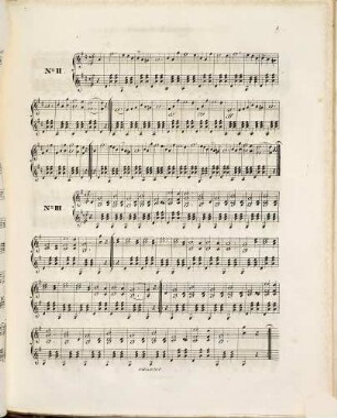 Erinnerung an Hohenschwangau : u. Freuden-Klänge Walzer ; für Zither