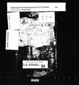 Gerichtshandelsbuch von Friedrichsthal (bei Wildenfels), Bd. 10