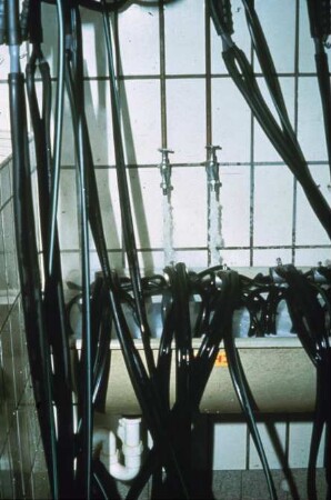 Fotografie: Melktechnik, Milchkammer, Reinigungstechnik, Melkzeug
