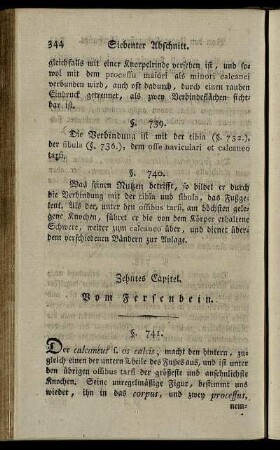 Zehntes Capitel. Vom Fersenbein. § 741-749.