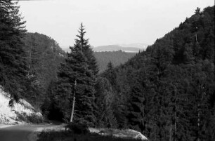 Herrenzimmern: Straße Herrenzimmern - Talhausen mit Blick zur Alb