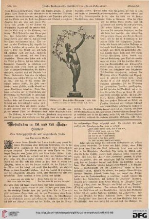 Wohnstuben im XVI. und XVII. Jahrhundert, [1]: eine kulturgeschichtliche und vergleichende Studie