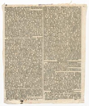 Zeitungsauschnitte aus der "Beilage zu den Berlinischen Nachrichten von Staats- und gelehrten Sachen", nebst Notizen
