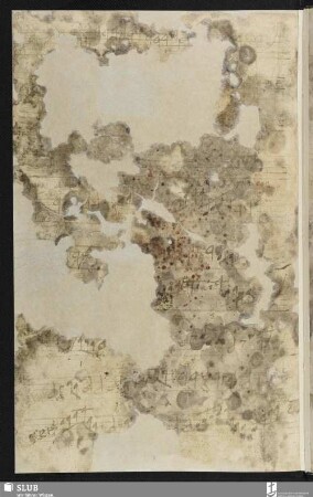 [Cesare, Giovanni Martino:] La fenice