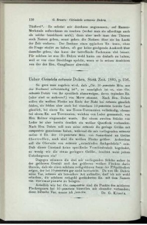 Ueber Cicindela octussis Dohrn, Stett. Zeit. 1885, p. 256.