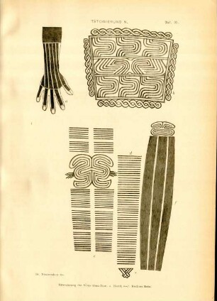 Taf. 95. Tätowierung N. Tätowierung der Kenja Uma-Tow. a. Hand, b- f. Rechtes Bein