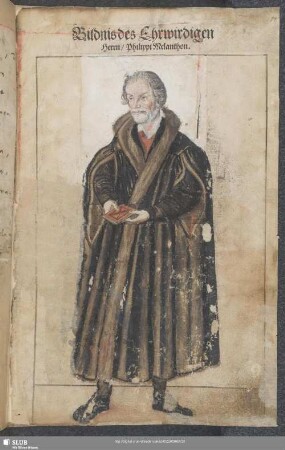 Bildnis des Ehrwirdigen Herrn Philippi Melanthon.