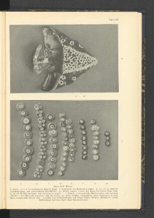 Tafel III Augen und Mützen