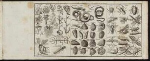 III. Kupfertafel der Naturgeschichte.