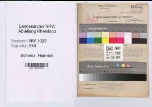 Entnazifizierung Heinrich Schmitz , geb. 10.04.1899 (Haendler)