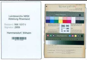 Entnazifizierung Wilhelm Hammersdorf , geb. 29.11.1890 (Malermeister)