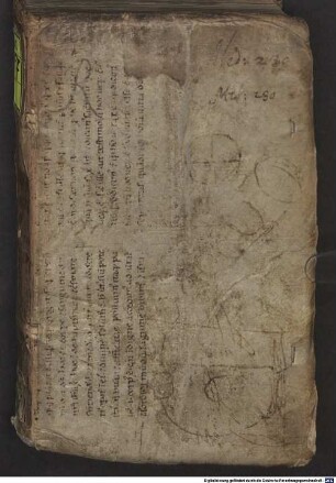 Theophrasti Germani, Paracelsi, Medicorum Et Philosophorum omnium, in universum facile Principis De restituta utriusque Medicinae vera Praxi, Liber primus