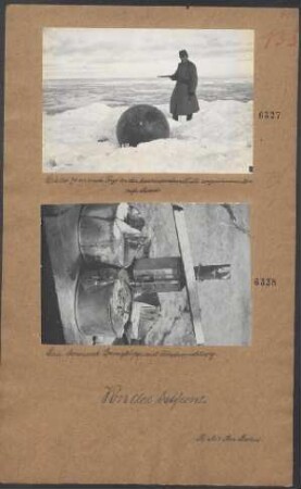 Eine der 70 an einem Tage an der kurländischen Küste angeschwemmten ruß. Minen