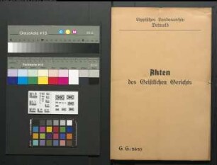 Kaufmann und Richter Aug. Piderit in Blomberg gegen den Kirchenvorstand in Blomberg, wegen der Kirchensitze in der Klosterkirche