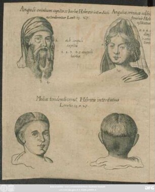 Comam Hebraeorum licitam & interdictam, ad illustranda commata, Levit. XIX. vers. 27. aliaque Praeside Theodoro Dassovio ... amicae sententiarum collationi sistit Christianus Alten-Eck/ Holmia-Suecus, In Auditorio Maiori, Ad d. XXI. Aug. MDCXCV.