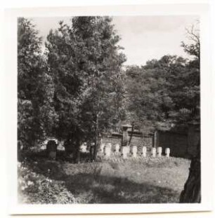 Friedhöfe Ozorkow: Friedhof