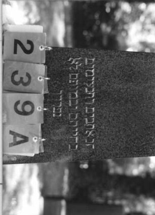 Grabstein 239 [Hahn S. 229 Grab-Nr. 914/915]: Grabstein 239A [Hahn S. 229 Grab-Nr. 914/915]