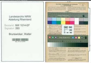 Entnazifizierung Walter Brunswicker , geb. 25.02.1909 (Arzt)