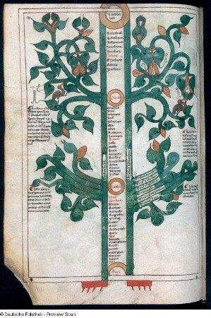 Illustration mit Text, Blatt 87v