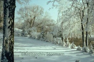 Trave im Winter