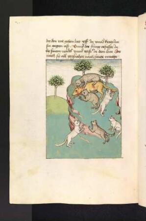 Die Katzen reißen den Wolf; (Kapitel XVI: Von den Vögeln).