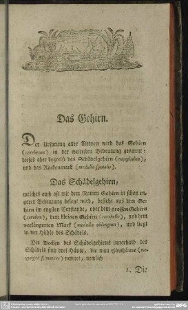 Das Gehirn
