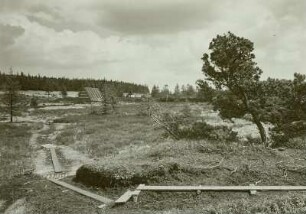 Erzgebirge, Georgenfelder Hochmoor, Torfstich