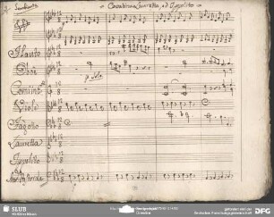 Cavatina [Duetto]: "Al chiaro rio che del abbonda"