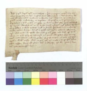 Bischof Johann von Straßburg erneuert die dem Kloster Allerheiligen durch Bischof Konrad von Straßburg erteilte Erlaubnis die Kirchen zu Oberkirch und Oppenau durch Weltgeistliche versehen zu lassen.