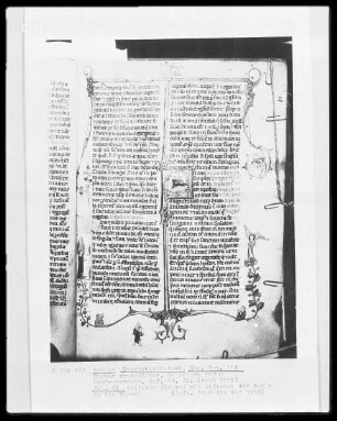 Thomas Cantimpratanus, De natura rerum — ---, Folio 19rectoEngel, Folio 19recto