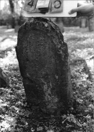 Grabstein 440 (Index: 99791222) Zustand: vollständig verwittert Maße HxBxT: 75x40x11 cm: Grabstein 440