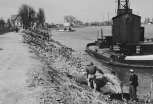 Uferabflachung "Kurve Speyer"/Rhein