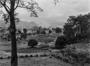 Die Uluguru-Berge : Ausläufer der Uluguru-Berge. Im Bildvordergrund Landwirtschaftliche Anbauflächen. In der Bildmitte Hütten einer Siedlung