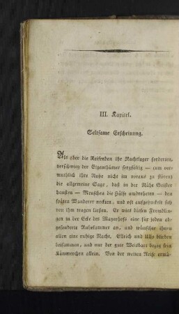 III. Kapitel. Seltsame Erscheinung.