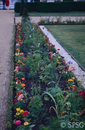 Potsdam, Park Sanssouci, Parterre Große Fontäne, Rabatte mit Blumenbepflanzung.