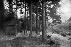 Wildfütterung