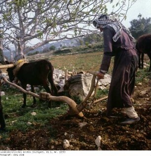 Israel: Samarisches Bergland