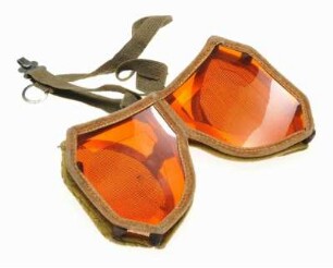 Schutzbrille