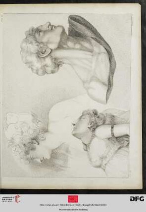 Plate 12. [Junge Frau (Schraffur), Jüngling (Kontur) und Mann (Büste; Schraffur)]