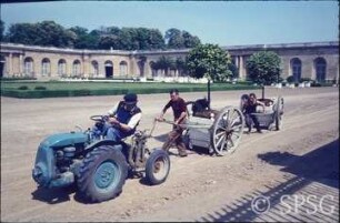 Versailles, Orangerie.