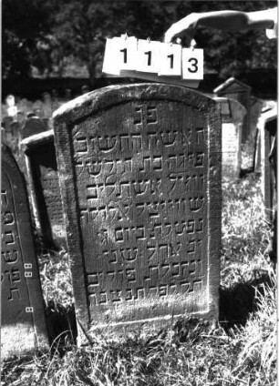 Grabstein 1113 (Index: 100098738) Maße HxBxT: 116x58x11 cm: Grabstein 1113
